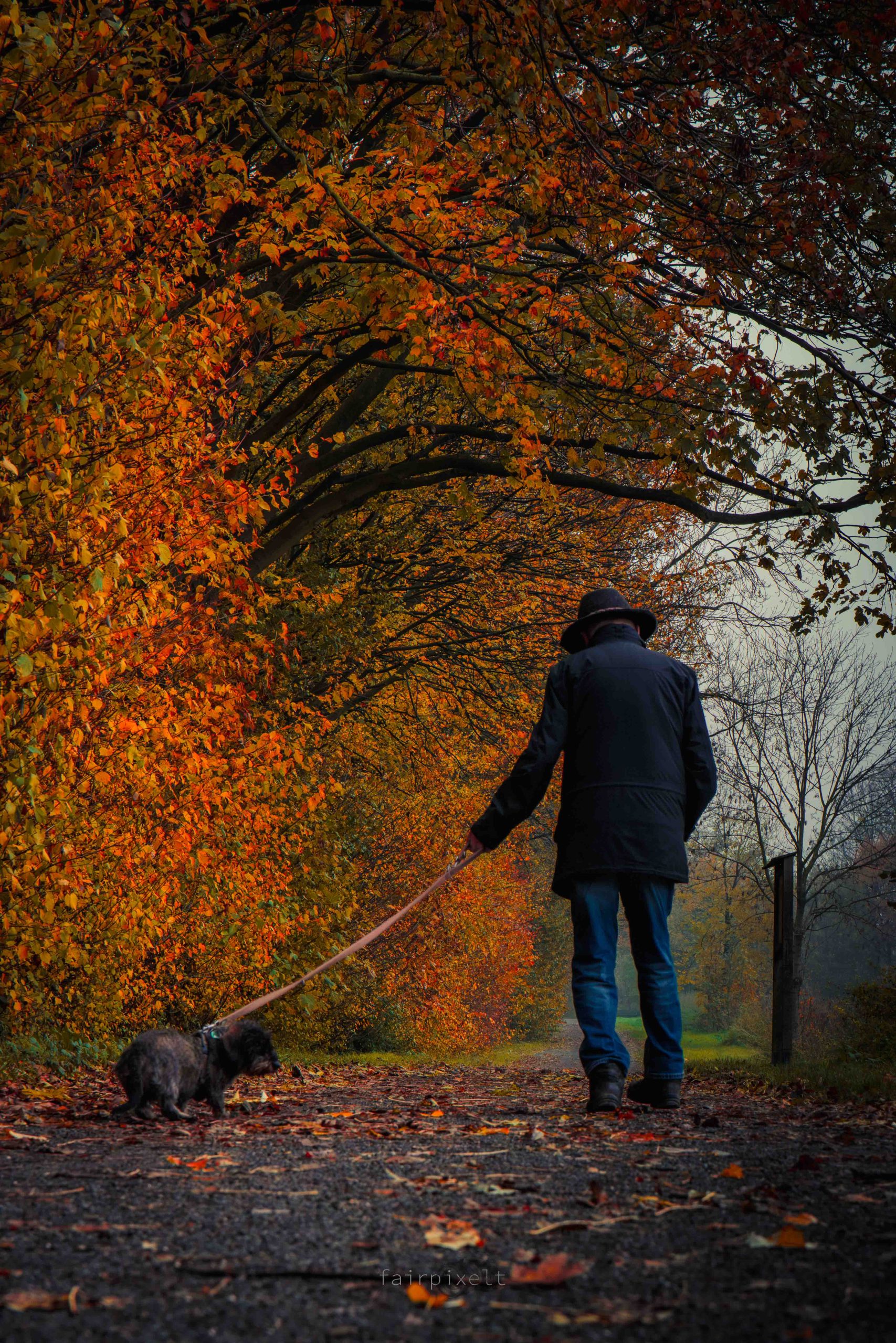 Herbstzeit